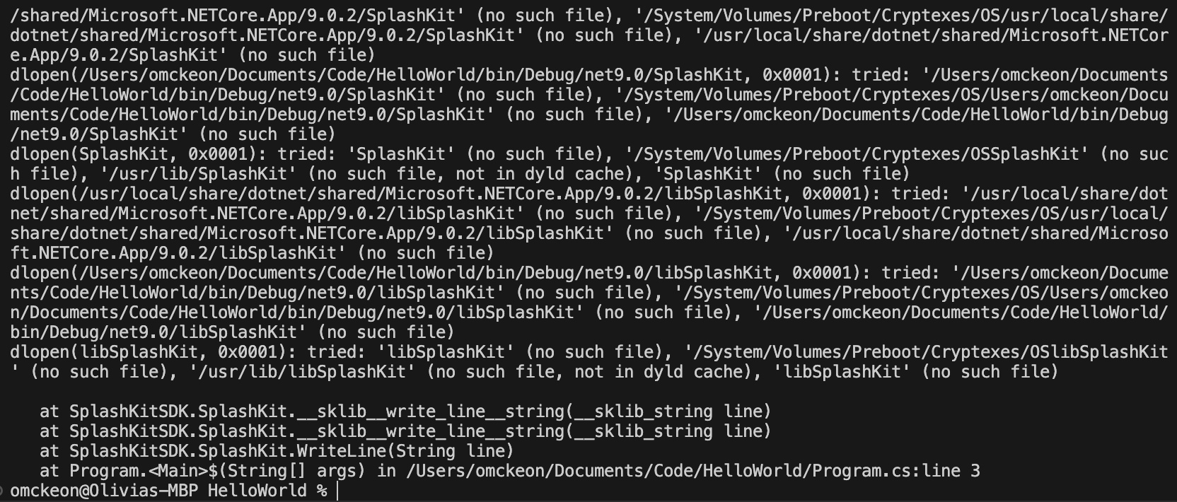 dotnet run not working with .NET 9