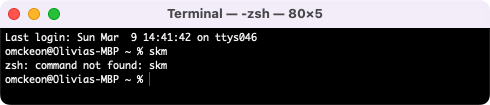 skm not found in terminal